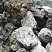 Kamenclub.ru: Черный гранит - кварцит фр. 100-500 мм.  купить в Севастополе мрамор гранит черный с белыми прожилками, серый, белый валун скальный колотый 7000 руб/т   фото КАМЕНЬ КЛУБ