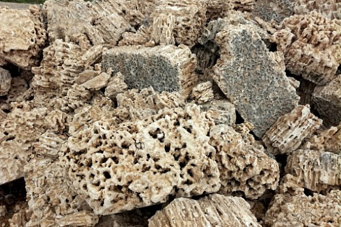 Kamenclub.ru: Крымский природный меотис фр. 100-500 мм.  купить в Севастополе меотис бежевый рыжий молочный желтый ракушечник 4 500 руб/т   фото КАМЕНЬ КЛУБ