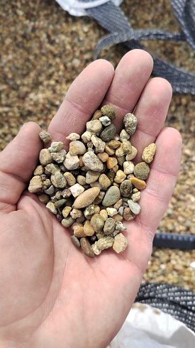 Kamenclub.ru: Галька окат (серо-желтая) фр.5-10 мм. купить  в Севастополе галька речная рыжий, желтый, рыжий, серо-желтый речная окатанная галька декоративная 5000 руб/т   фото КАМЕНЬ КЛУБ